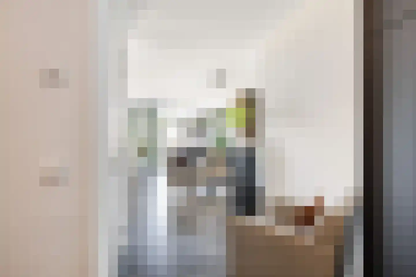 Esdonkstraat 8 E Veghel thumbnail 42