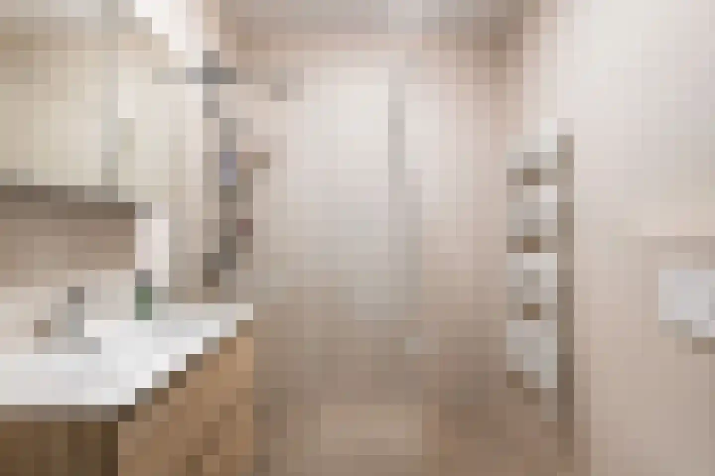 Esdonkstraat 8 E Veghel thumbnail 43
