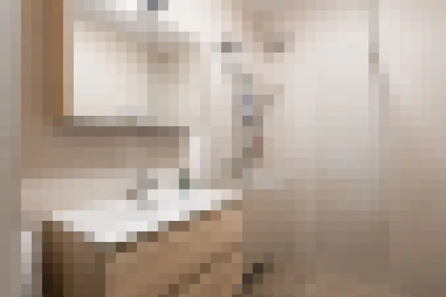 Esdonkstraat 8 E Veghel thumbnail 44
