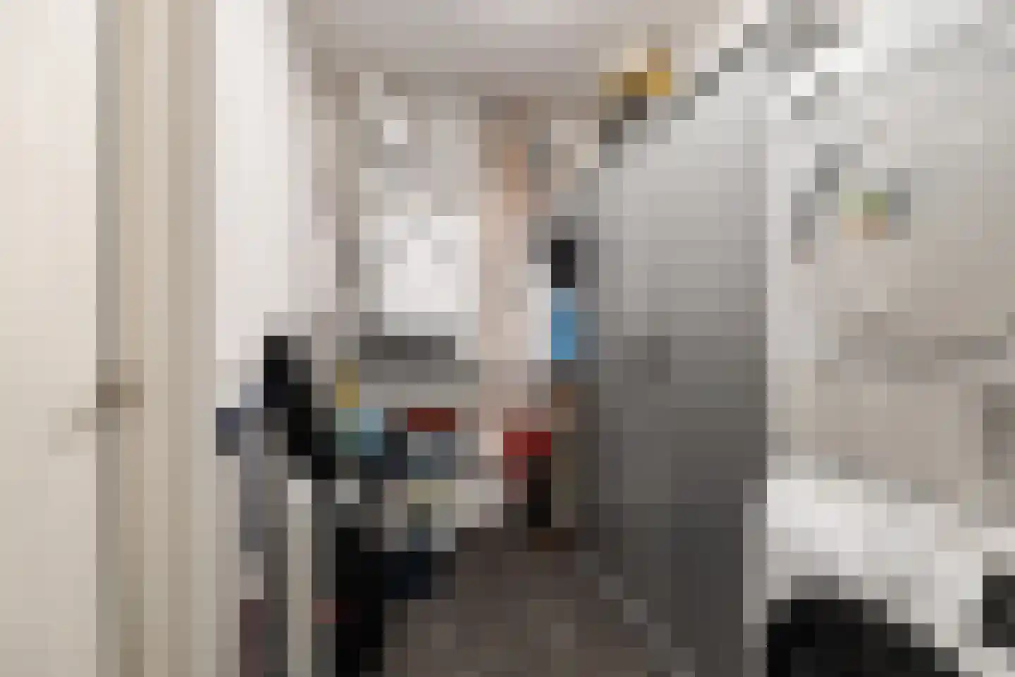 Esdonkstraat 8 E Veghel thumbnail 49