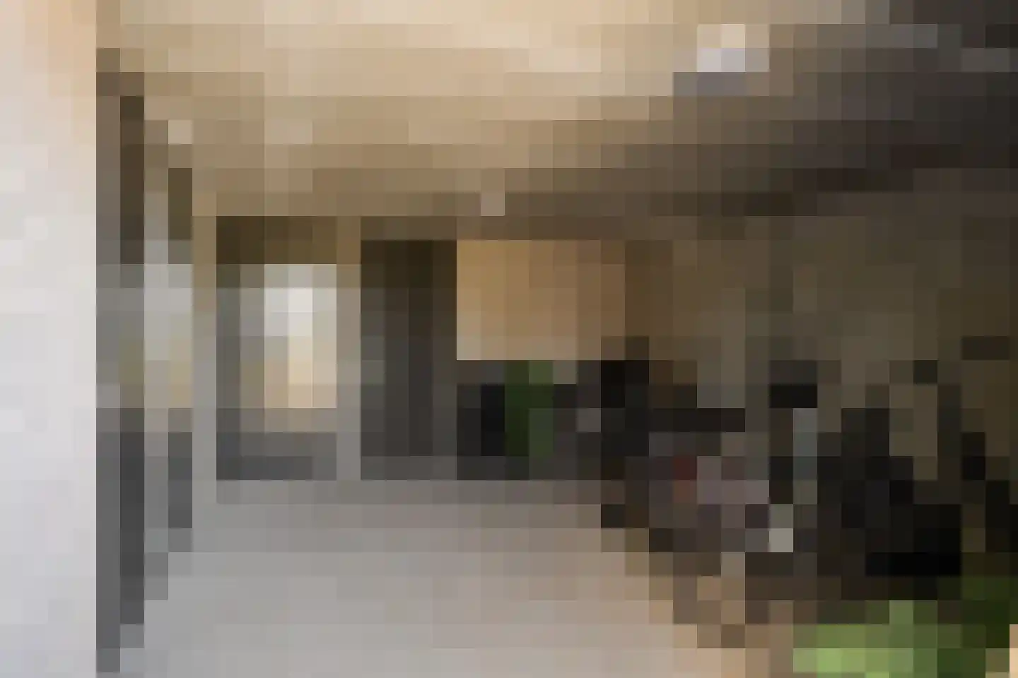 Esdonkstraat 8 E Veghel thumbnail 50