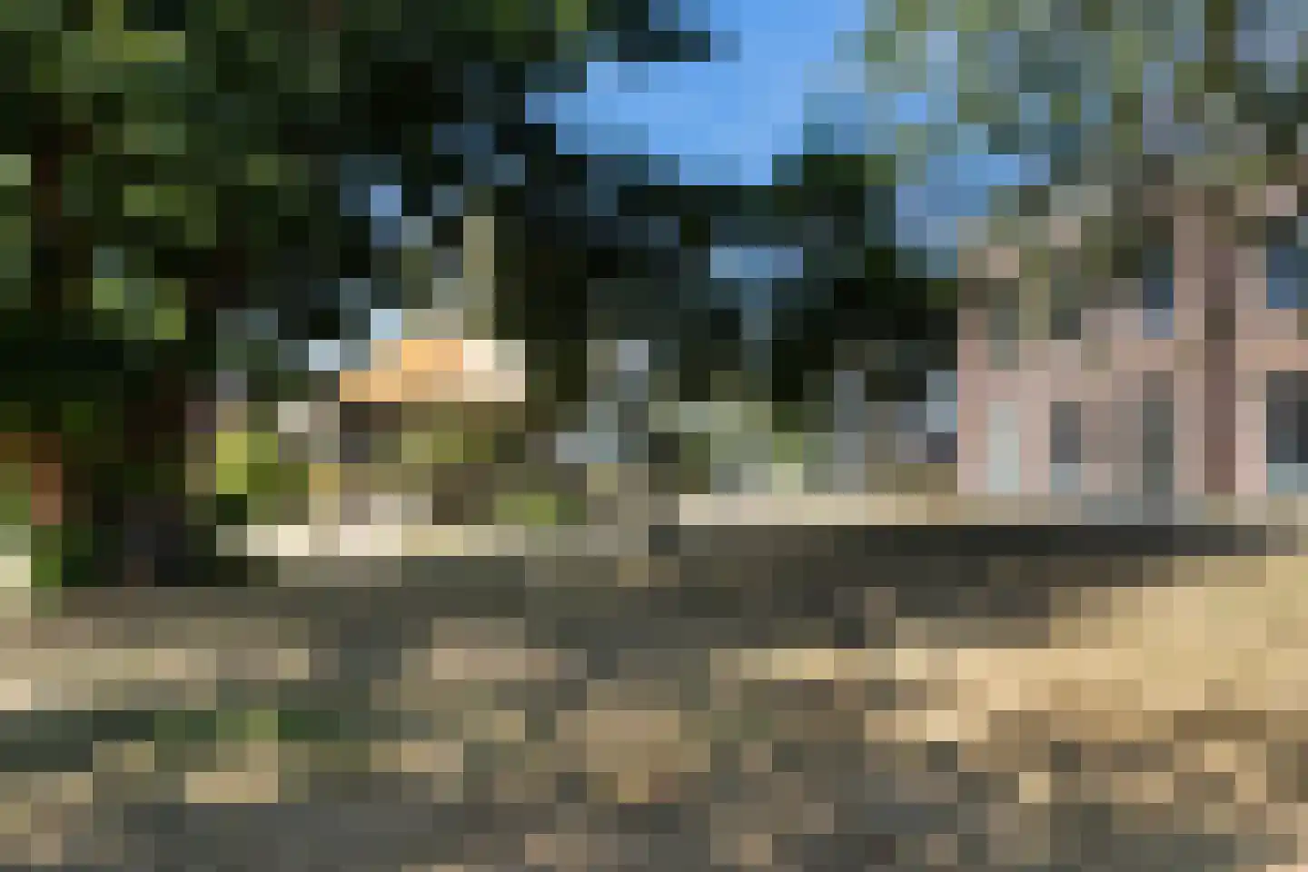 Esdonkstraat 8 E Veghel thumbnail 55