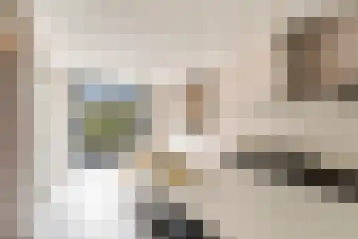 Esdoorn 1 b Odijk thumbnail 10