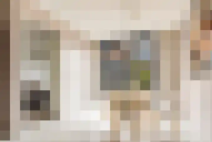 Esdoorn 1 b Odijk thumbnail 11