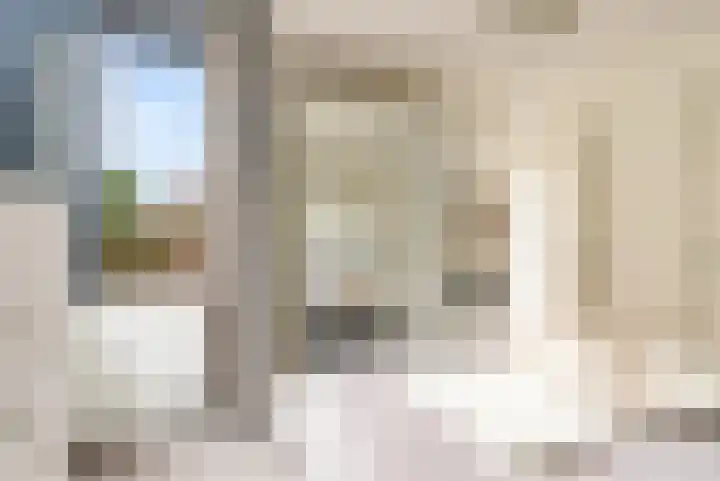 Esdoorn 1 b Odijk thumbnail 12