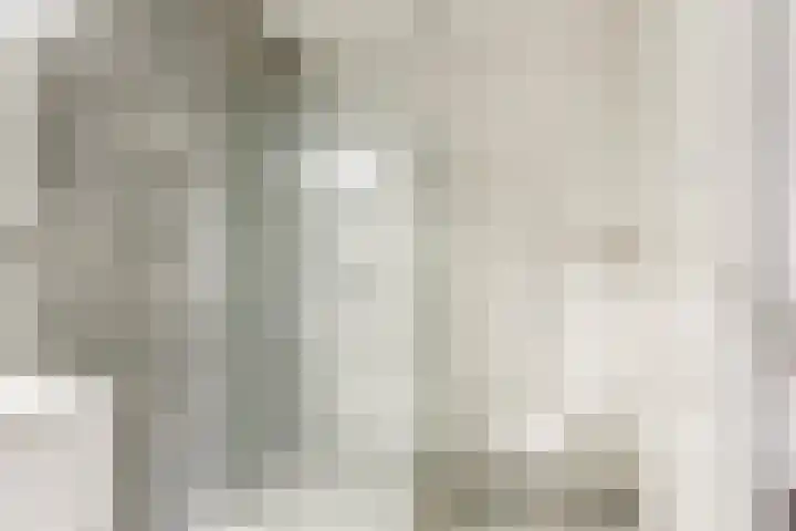 Esdoorn 1 b Odijk thumbnail 14
