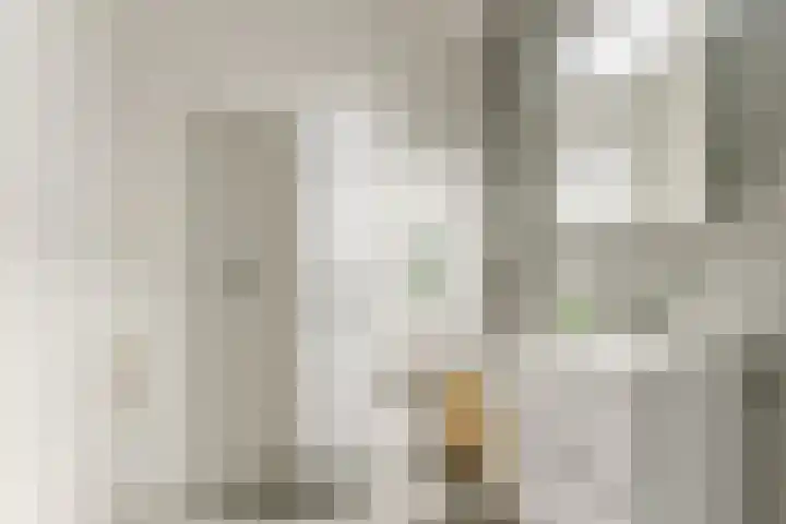 Esdoorn 1 b Odijk thumbnail 15