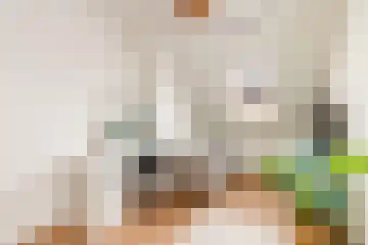 Esdoorn 1 b Odijk thumbnail 18