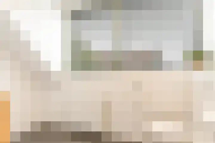 Esdoorn 1 b Odijk thumbnail 21