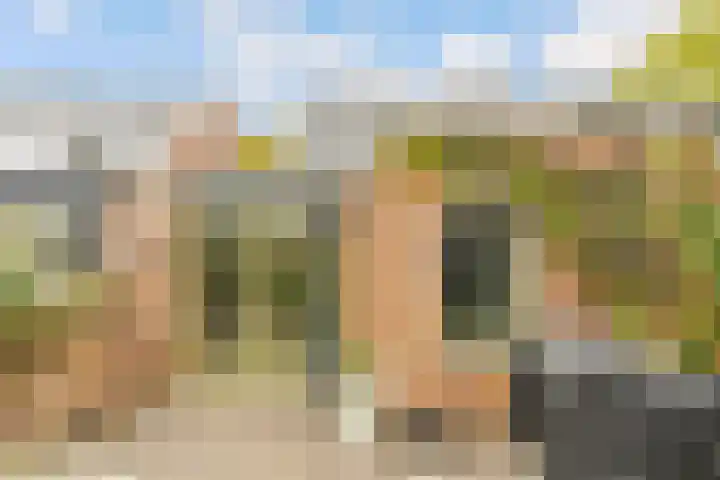 Esdoorn 1 b Odijk thumbnail 24