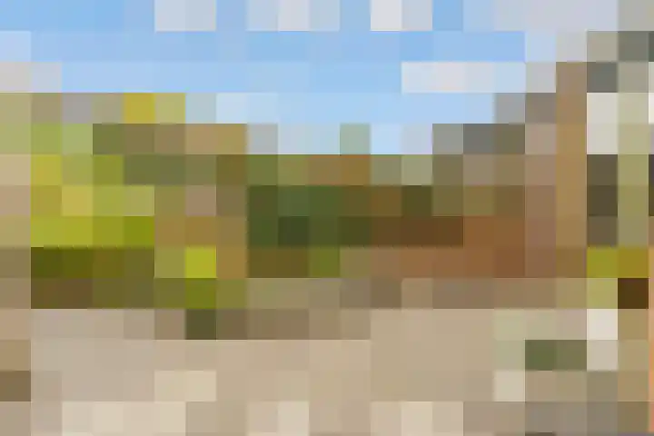 Esdoorn 1 b Odijk thumbnail 25