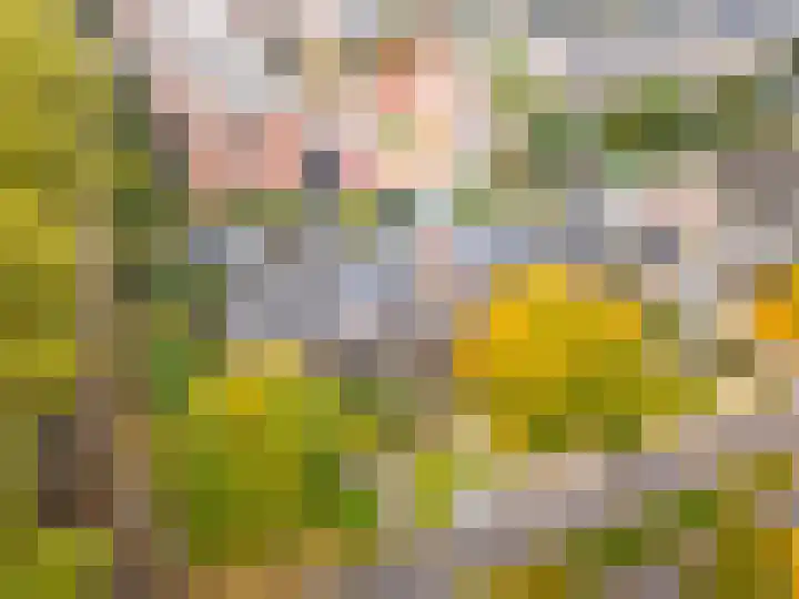 Esdoorn 1 b Odijk thumbnail 31