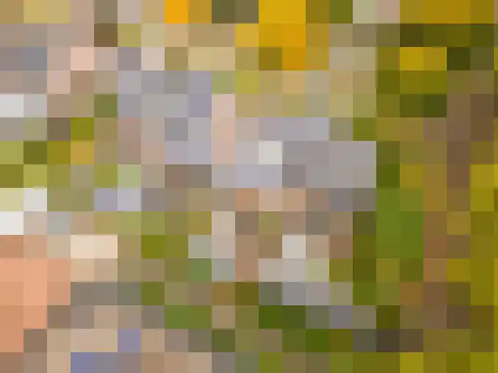 Esdoorn 1 b Odijk thumbnail 32