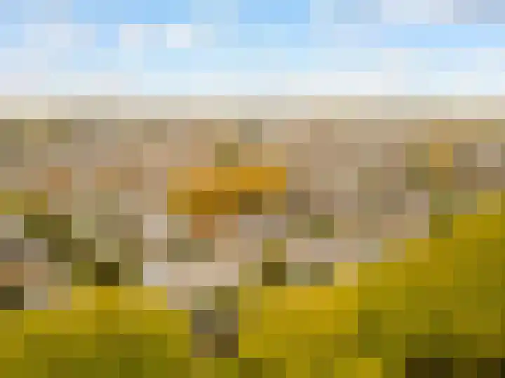 Esdoorn 1 b Odijk thumbnail 33