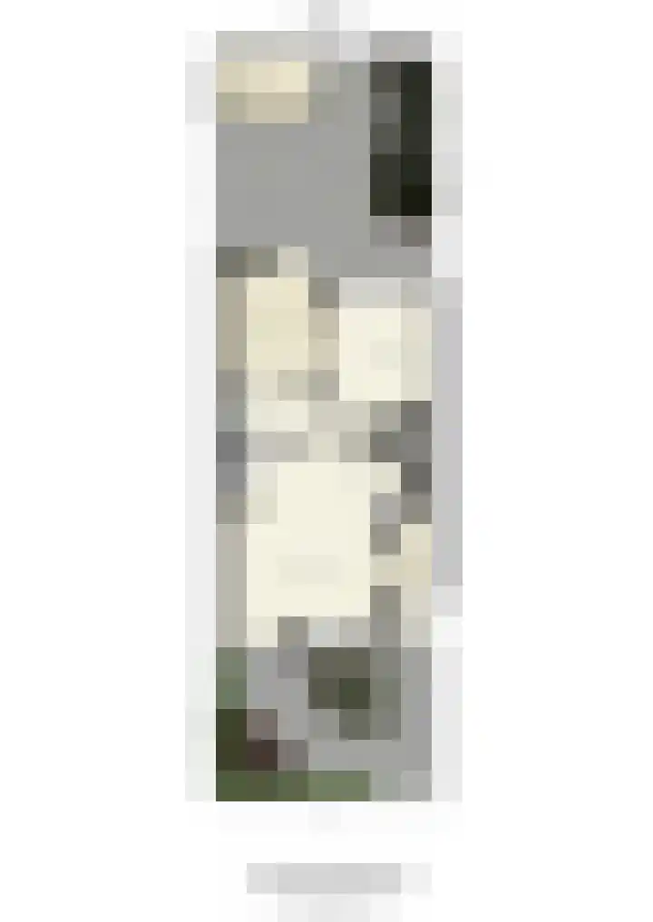 Esdoorn 1 b Odijk thumbnail 35