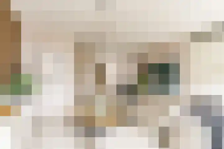Esdoorn 1 b Odijk thumbnail 5