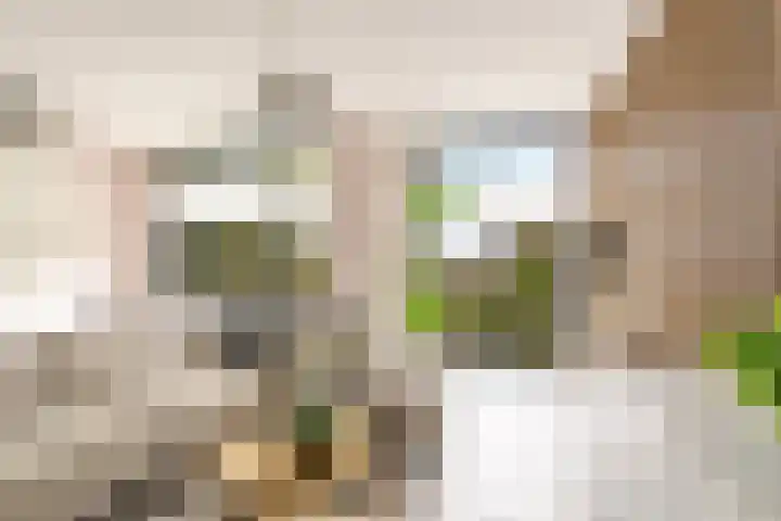 Esdoorn 1 b Odijk thumbnail 6