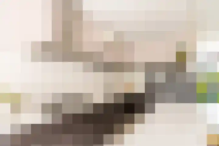 Esdoorn 1 b Odijk thumbnail 8