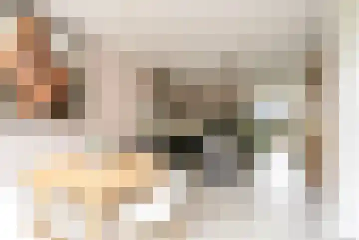 Esdoorn 1 b Odijk thumbnail 9