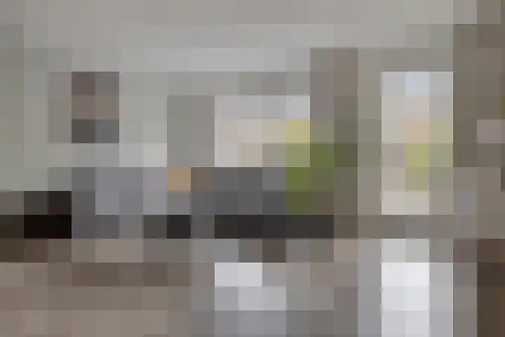 Esdoorn 14 Millingen aan de Rijn thumbnail 10
