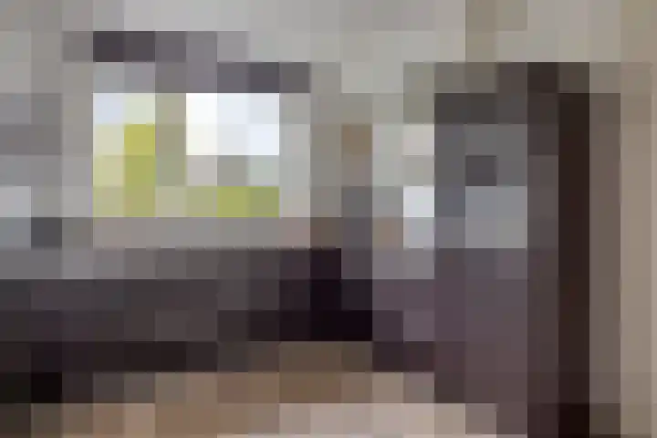 Esdoorn 14 Millingen aan de Rijn thumbnail 12