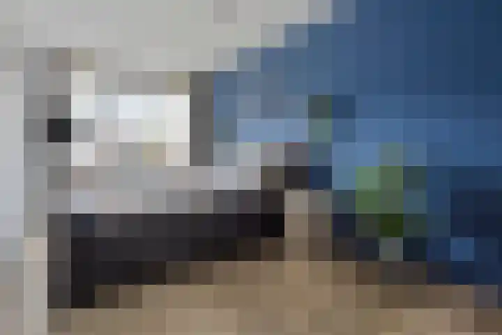 Esdoorn 14 Millingen aan de Rijn thumbnail 15