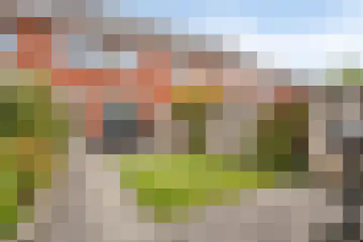 Esdoorn 14 Millingen aan de Rijn foto 2