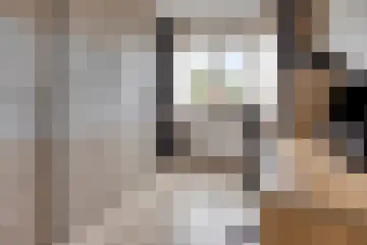 Esdoorn 14 Millingen aan de Rijn thumbnail 20