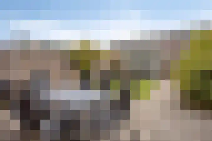Esdoorn 14 Millingen aan de Rijn thumbnail 24