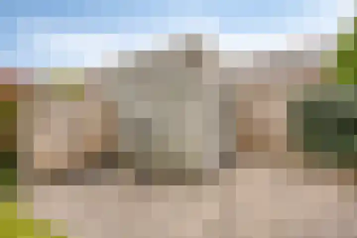 Esdoorn 14 Millingen aan de Rijn thumbnail 25