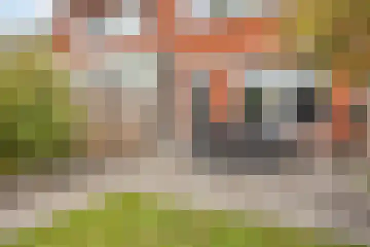 Esdoorn 14 Millingen aan de Rijn thumbnail 27