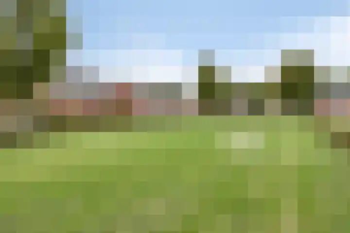 Esdoorn 14 Millingen aan de Rijn thumbnail 29