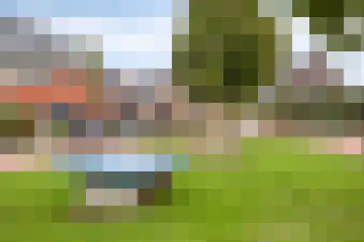 Esdoorn 14 Millingen aan de Rijn thumbnail 30