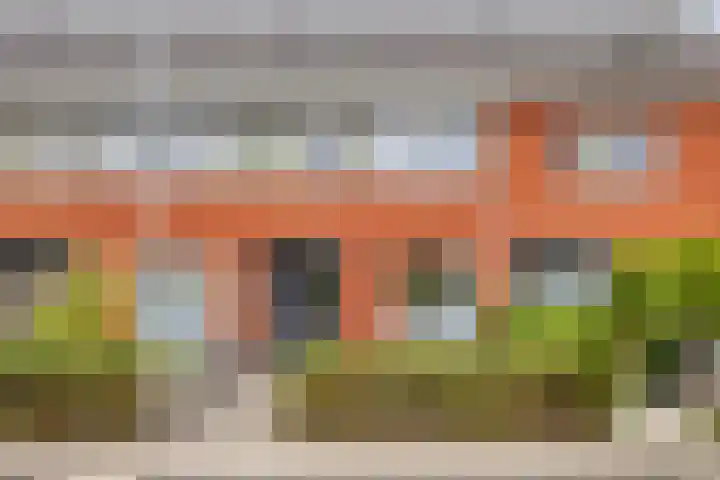 Esdoorn 14 Millingen aan de Rijn thumbnail 31
