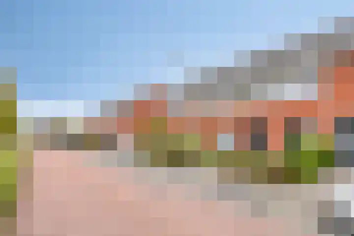 Esdoorn 14 Millingen aan de Rijn thumbnail 32