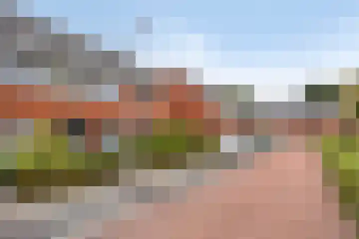 Esdoorn 14 Millingen aan de Rijn thumbnail 33