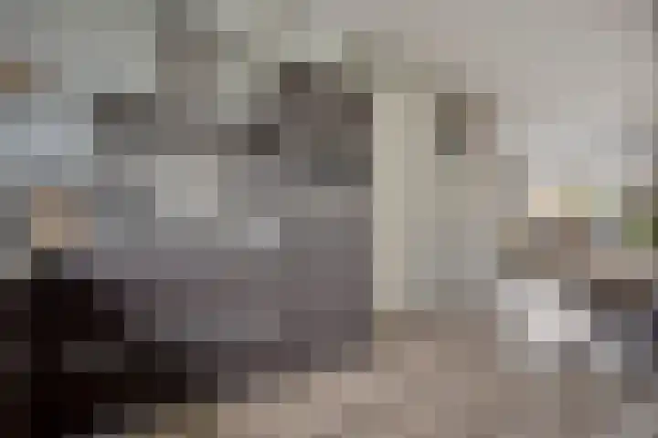 Esdoorn 14 Millingen aan de Rijn thumbnail 4