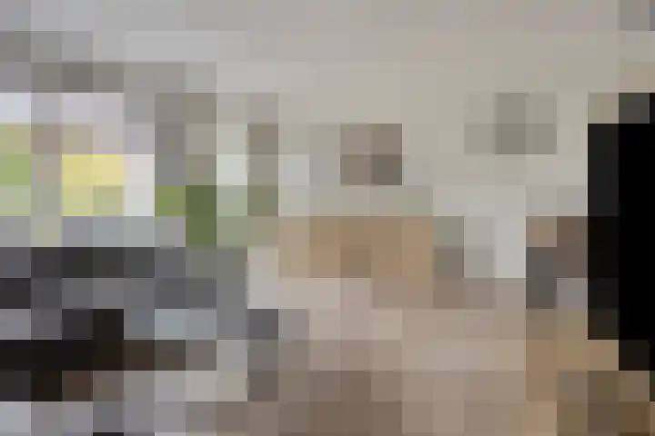Esdoorn 14 Millingen aan de Rijn thumbnail 9