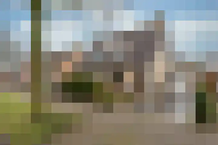 Esdoorn 15 Odijk