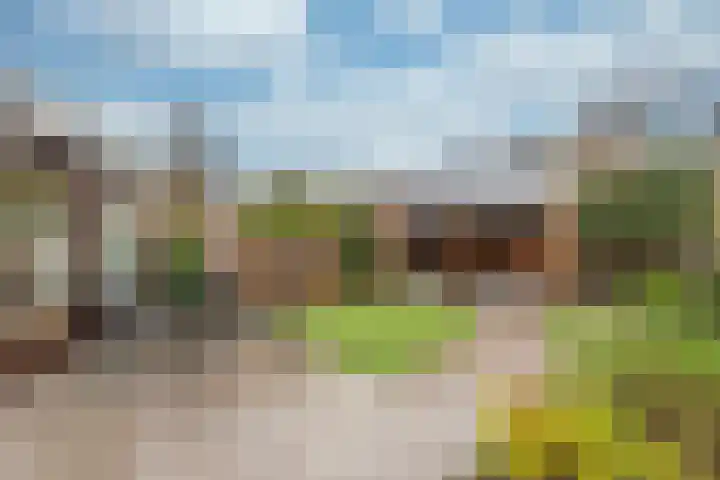 Esdoorn 15 Odijk thumbnail 19