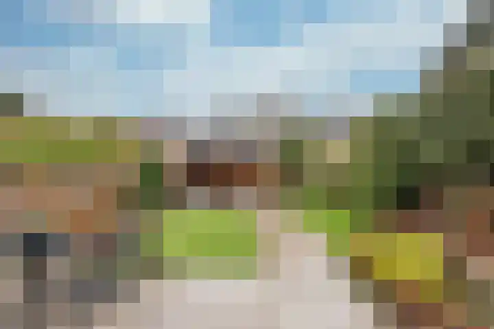 Esdoorn 15 Odijk thumbnail 20
