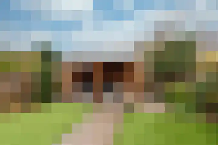 Esdoorn 15 Odijk thumbnail 22