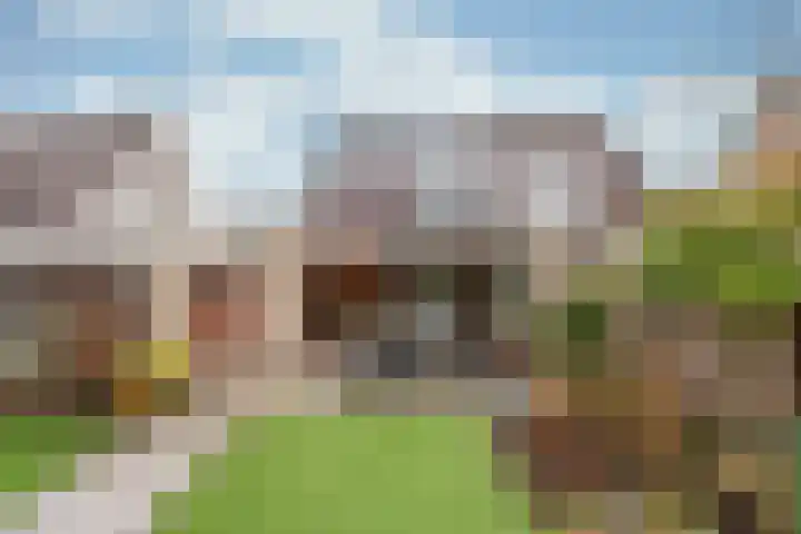 Esdoorn 15 Odijk thumbnail 25