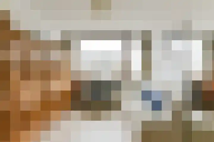 Esdoorn 15 Odijk thumbnail 30