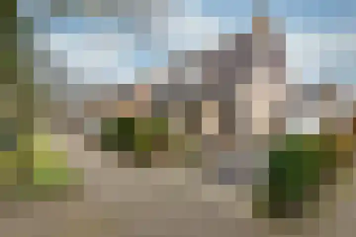 Esdoorn 15 Odijk thumbnail 4