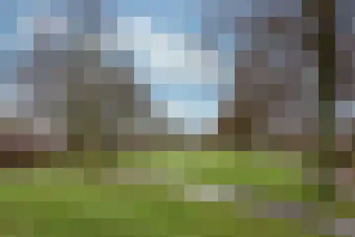 Esdoorn 15 Odijk thumbnail 46