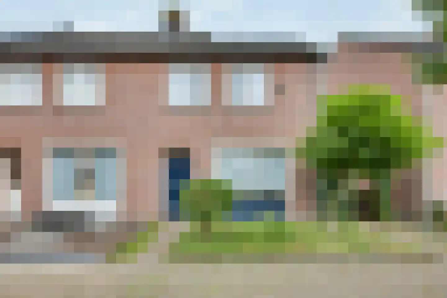 Esdoorn 2 in Oost West en Middelbeers