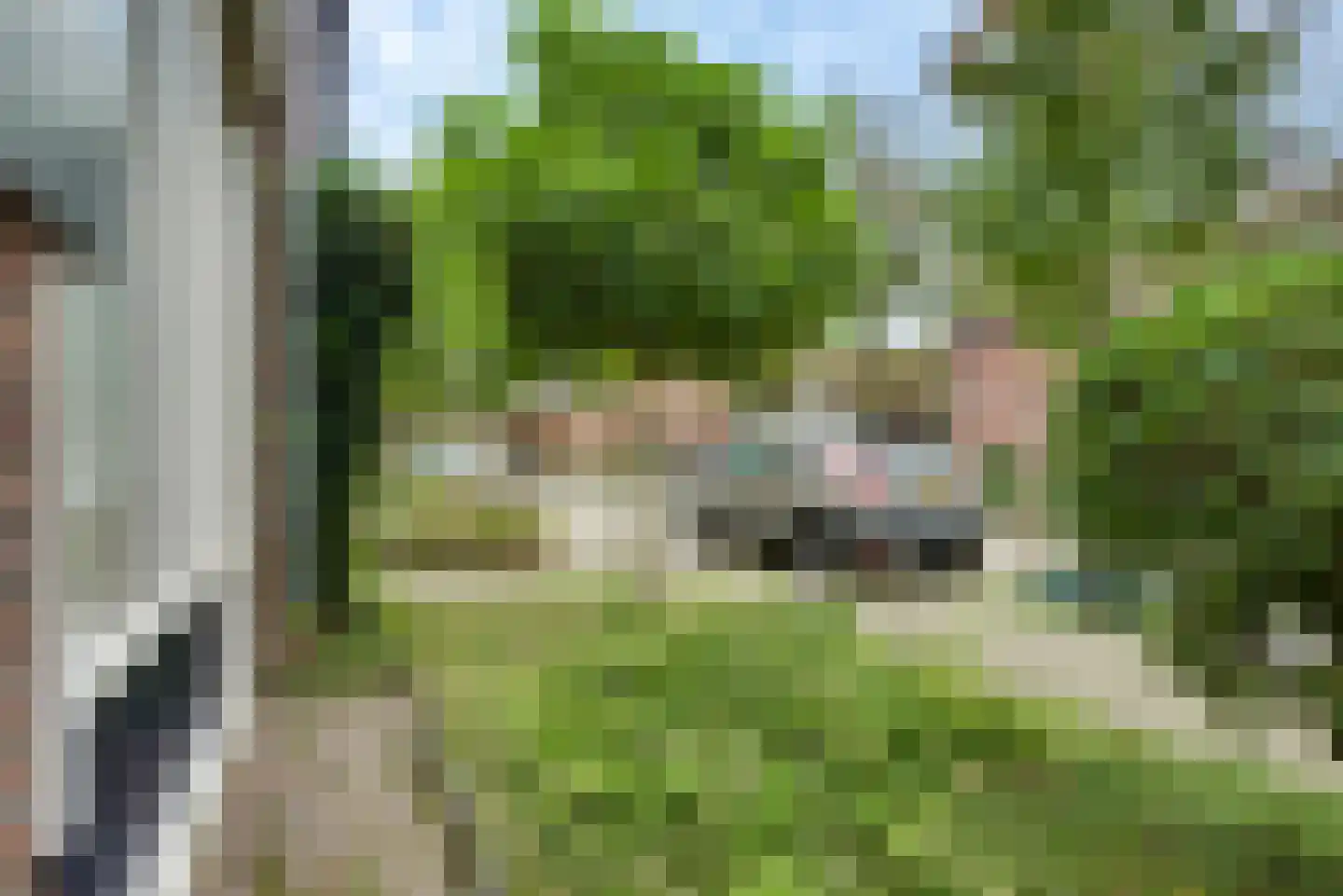 Esdoorn 2 Oost West en Middelbeers thumbnail 10