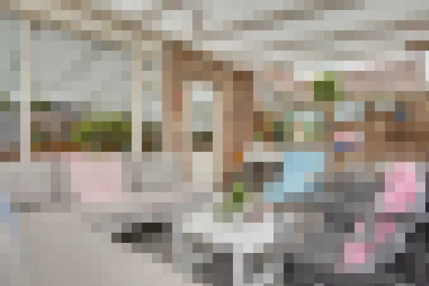 Esdoorn 2 Oost West en Middelbeers thumbnail 26