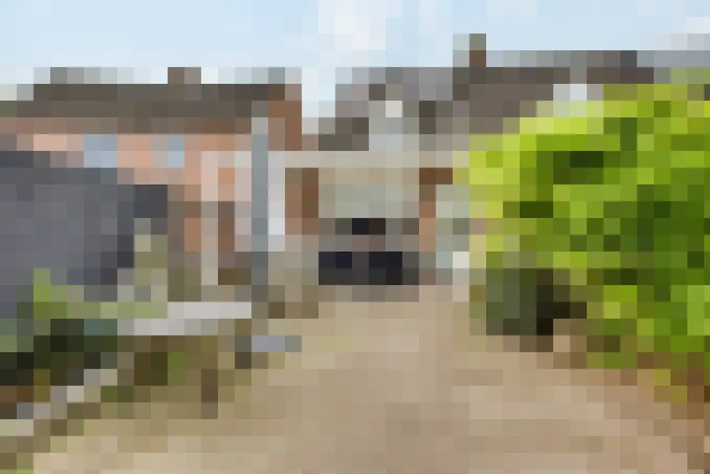 Esdoorn 2 Oost West en Middelbeers thumbnail 29